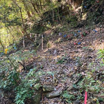 シデとひょうたんが飾ってある😀