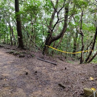 旗振山の方も