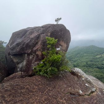 石を拾って来なかったので「カランコロン」できません😢
ここも山頂なのですかね？
なんだか、先の道が怖いんですけど…😨