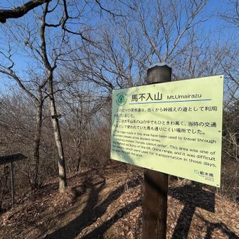 馬も入れない程の峠越えの難所だったようです

桜峠側からだと平坦な歩きやすい道
岩舟側から来ないとこれを実感できないそう