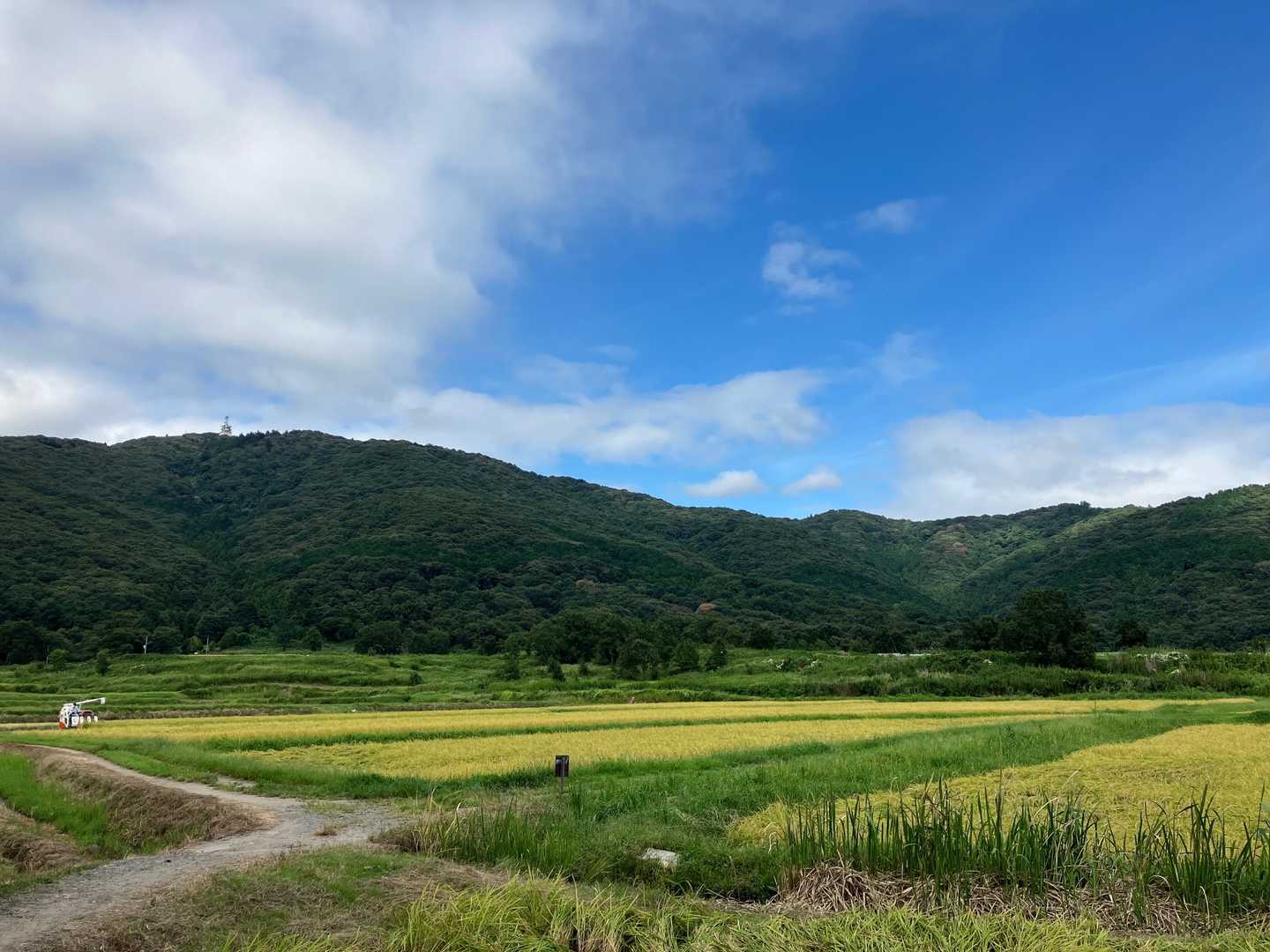 コンバインが写ってます