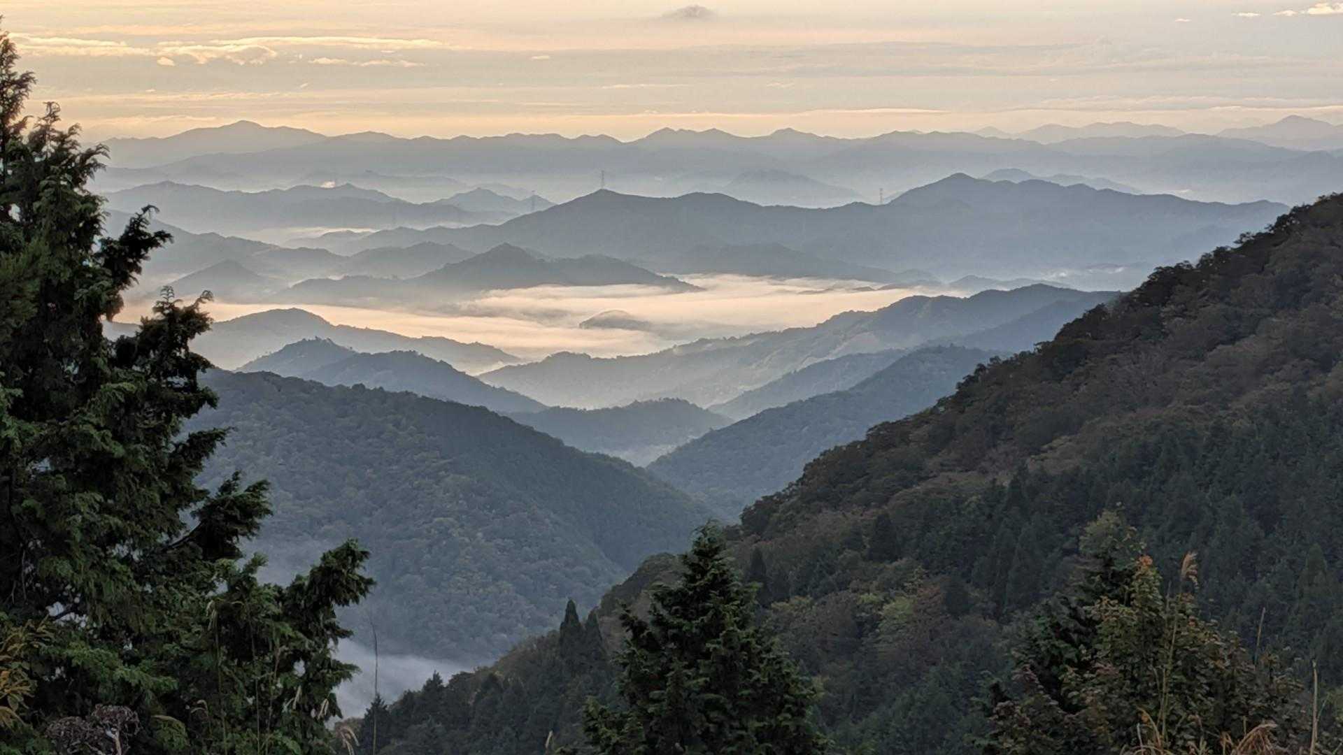 雲海っぽい感じになってた。早朝なので涼しい。