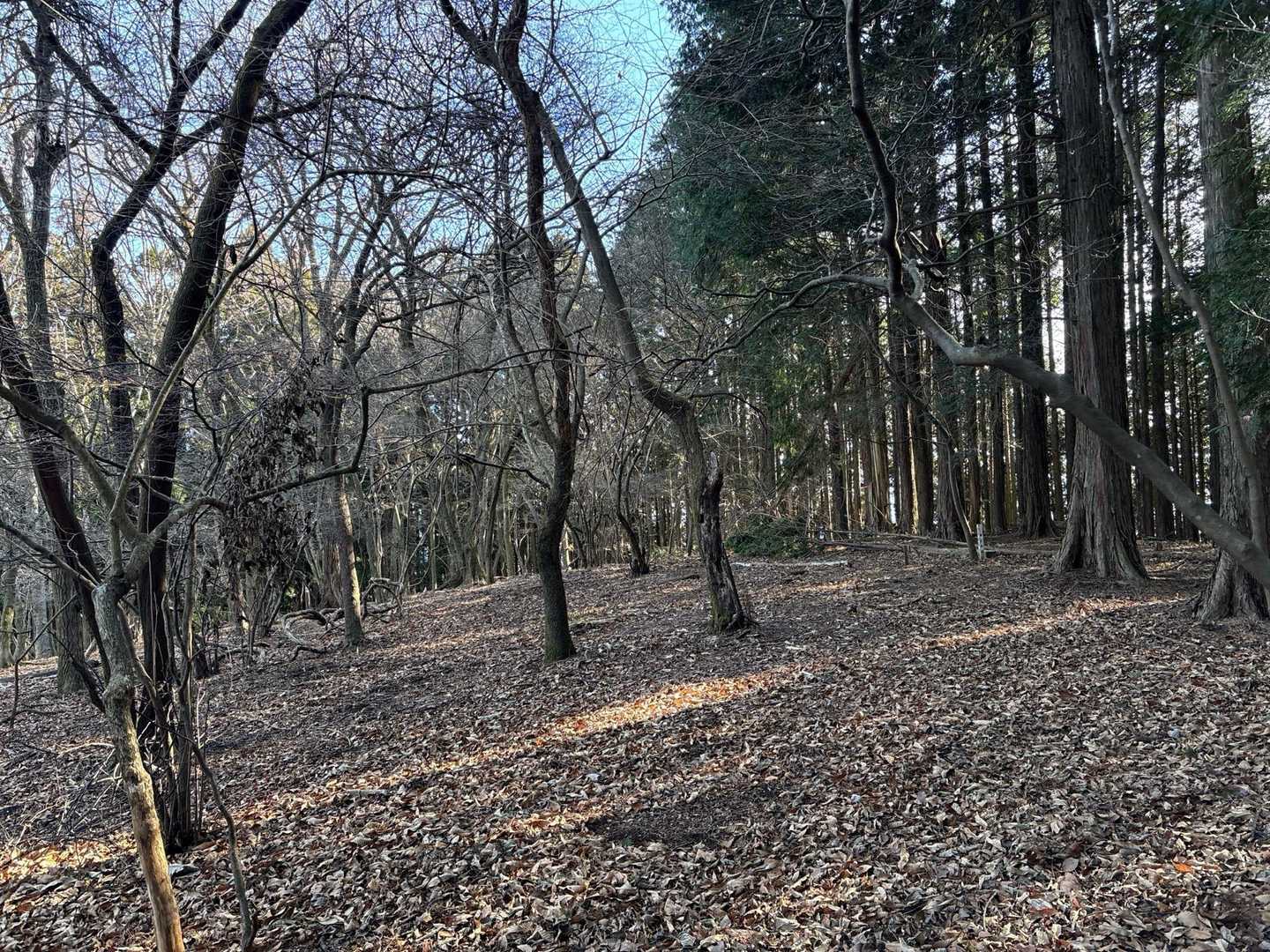 山頂は、平坦で、眺望なしです