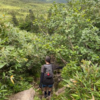 大岩が点在する下山道
ココはかなり歩きにくい。