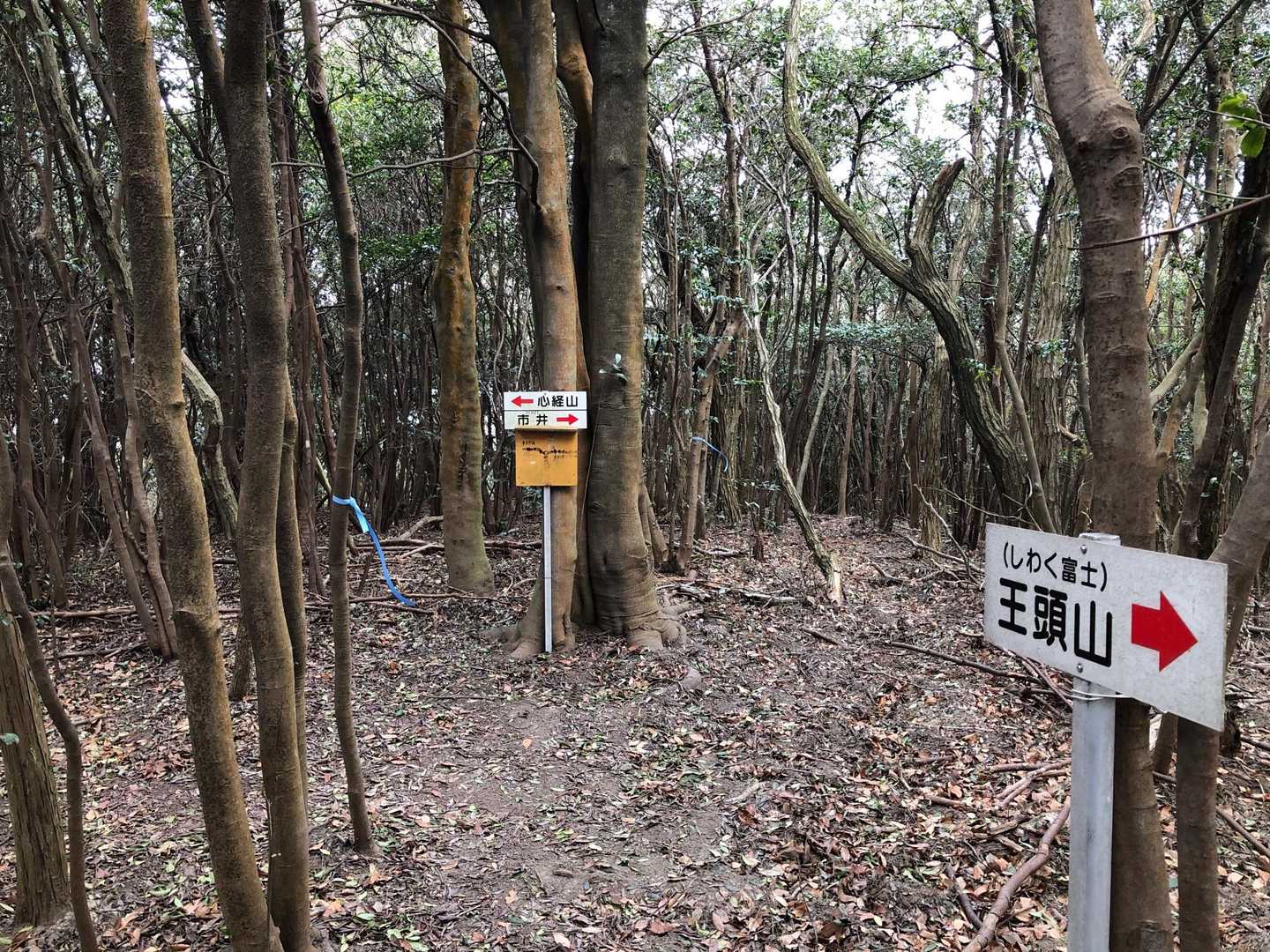 分岐点。左へ👈。