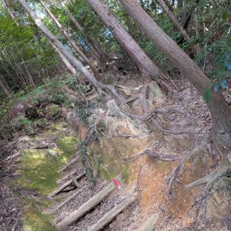 楽しいコースやぁ～
登りはやめたほうがよいかと😁