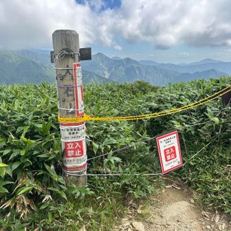 大石山登頂
今回は無理せずここまで！
潔く引き返しました。