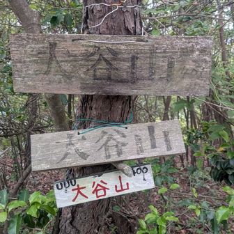 大谷山です
由伸投手がここまで来たかどうかは分かりません