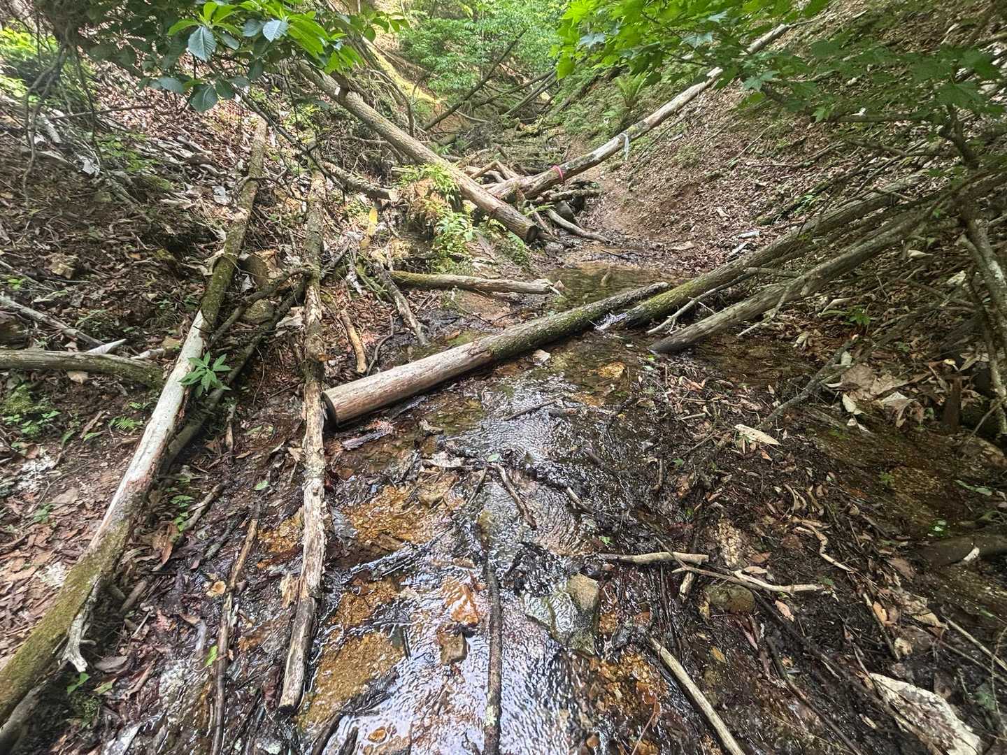 日本で海岸線から一番遠い地点-榊山 往復コースの写真