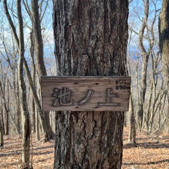 池ノ上到着
1ヶ月の登頂数4回😇

バス間に合うか不安になってきたけど少し休む