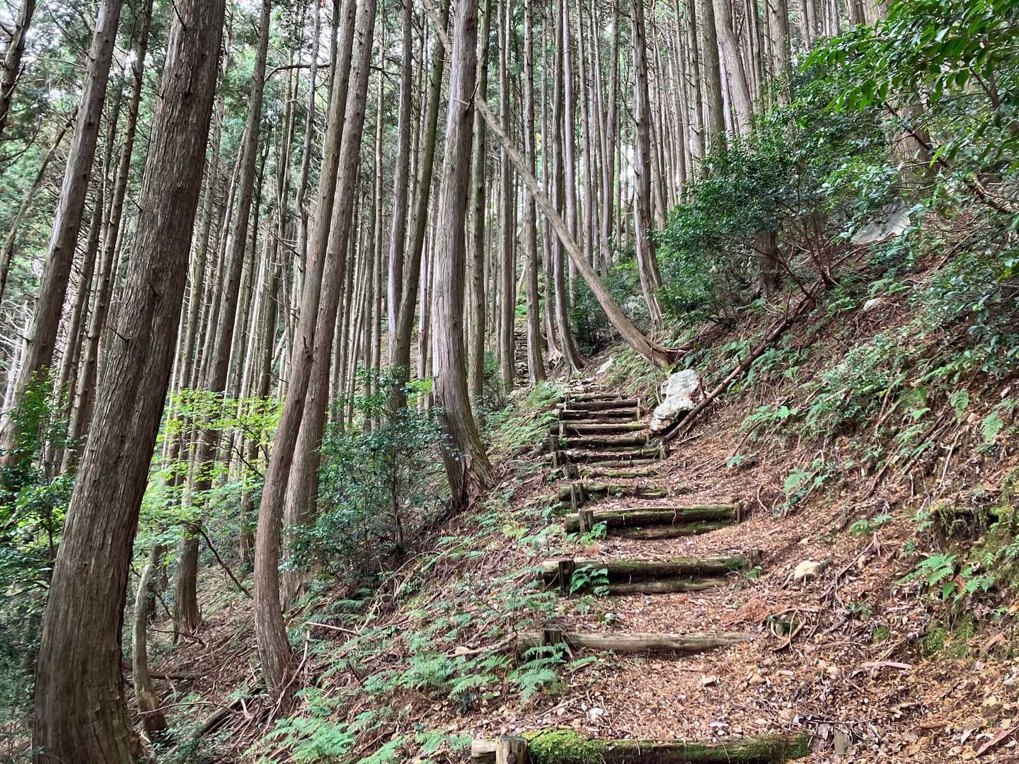 階段が続くのがきついです。