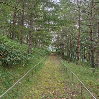 ここは遠回りとなる道です。