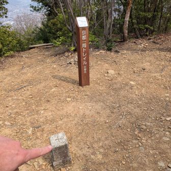 三角点にエアタッチ（山恋人さんのマネ🙏）
ココで、ブユにやられる🪰