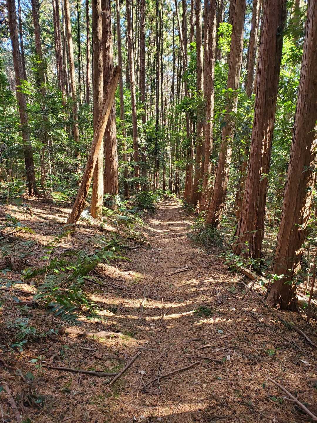 戻ってぇ♬
下山が長過ぎた😭
北風寒太郎を歌いながら下山〜😅