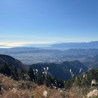 左側に伊豆大島が見える