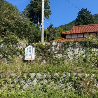 良い天気、ちょっと暑い