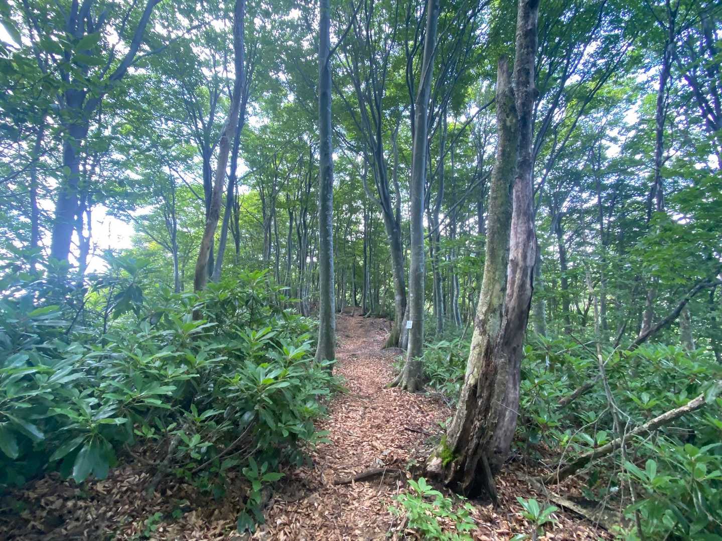 いい感じ🎶