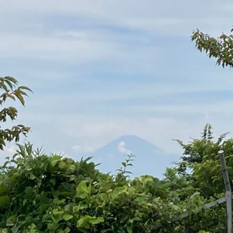 大楠山頂、まだ青富士が見える！