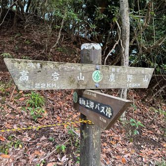 右手前から歩いてきました。登山口の方にバス停なんてあったかな？廃路線なんでしょうきっと。