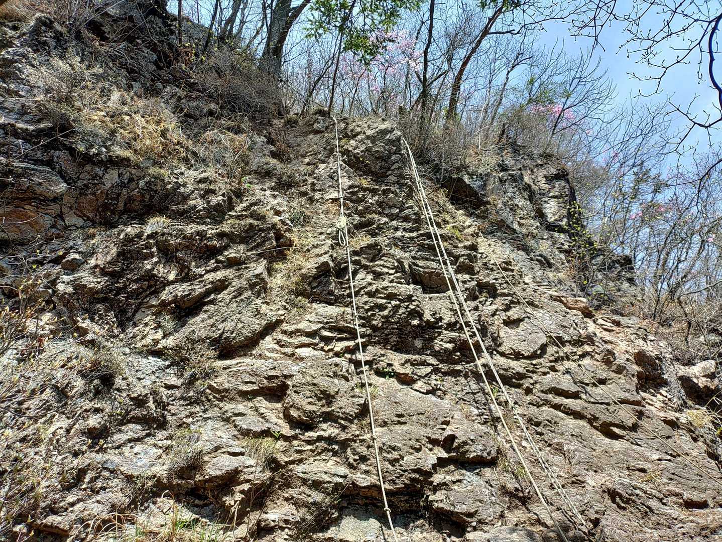 登りはロープ使わず三点支持で慎重に
降りは焦れったいからロープをまとめて掴んで懸垂下降の様に一気に降りてみたら楽でした
素手でやったのは失敗…
熱かったわ(・・;)