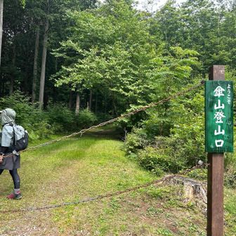 今日もほっかむり