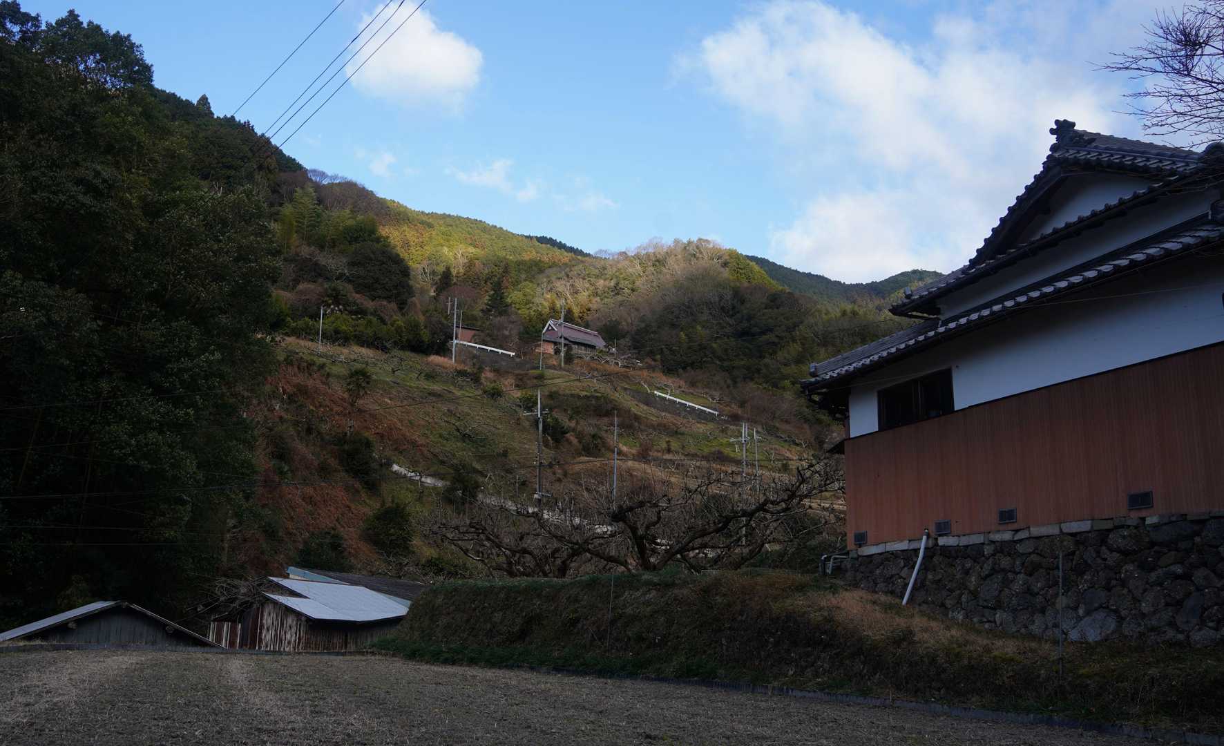 不動山登り口-不動山 往復コースの写真