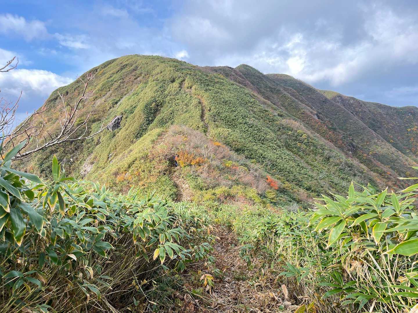 山頂が見えてきました
一番奥です