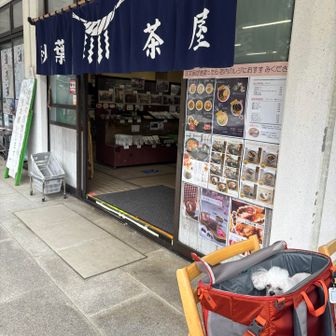 まずは腹ごしらえ🍚
テラス席はワンコもOK🙆‍♀️