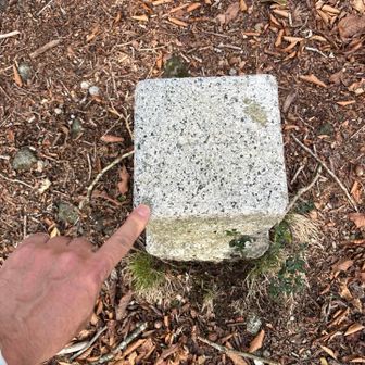 三等三角点タッチ　伽藍野