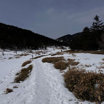 滑り台みたいな雪の坂道を下り続けて
雨峠からは平坦な道