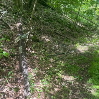 造林小屋跡に戻ってきました。