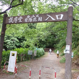 さあ、登山開始