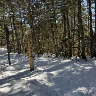 森を抜け・・・