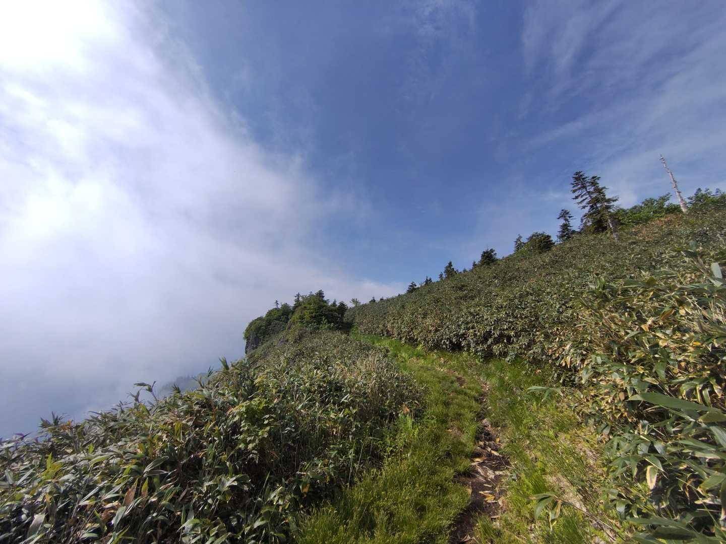 「こんな景色のあとに山頂♪」って記憶してたんですが、何度も騙されます
( ˶°⌓°˶)