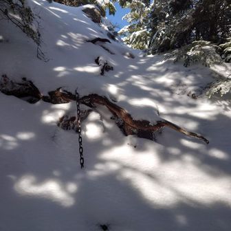ここも雪に埋まった鎖場の登り、そんなに凍結してなかったので鎖出しておきました