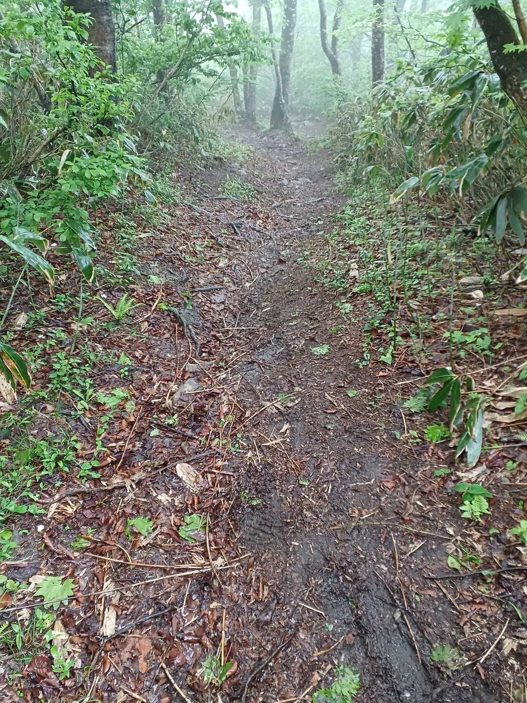 さて下山。このコンディションでは、ヤマは登るより下りる方が圧倒的に難しい😓💦