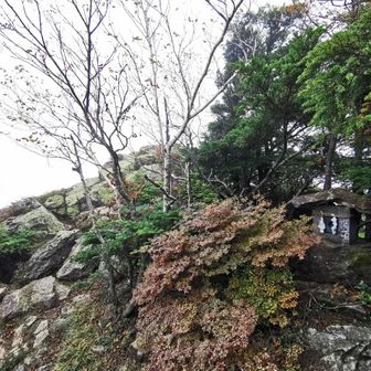 独占の山頂。道中白砂山ぶりでぐんま県境稜線トレイルの方と偶然遭遇。整備ありがとうございます