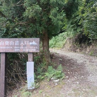 泉山登山道入口