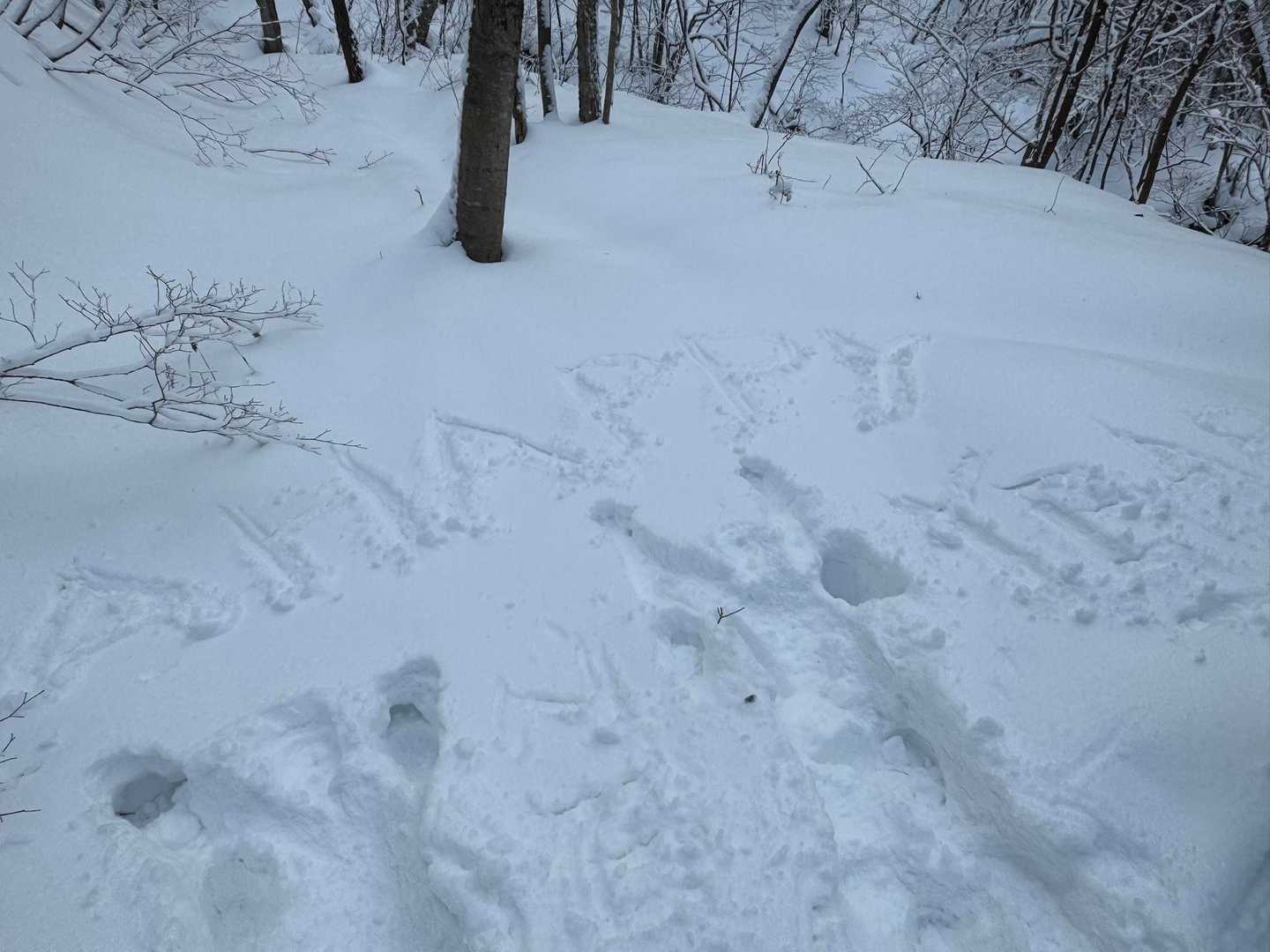 はっぴーにゅーいやー🙌🙌