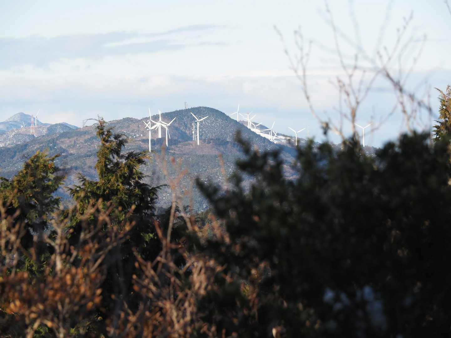 如意輪寺-中津峰山 往復コースの写真