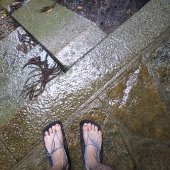２秒後ドリフのような豪雨。「おーい水！」とコップを差し出したら天井からバケツの水が落ちてくる、アレ😆