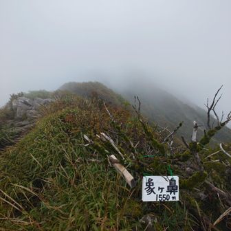 小屋から5分で象の鼻