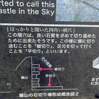 こんな切り方をする！！！