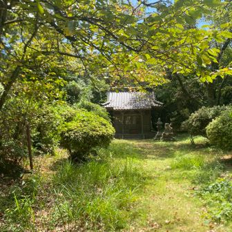 吉見岳にある琴平神社⛩️