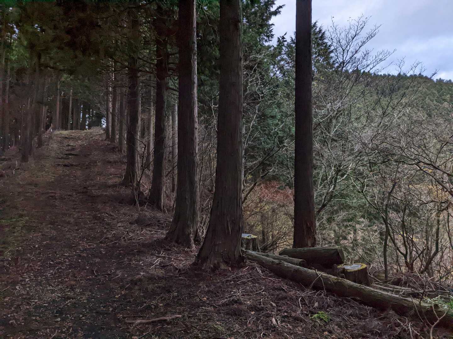 尺里峠-高松山 往復コースの写真