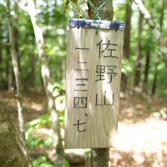 標高1234