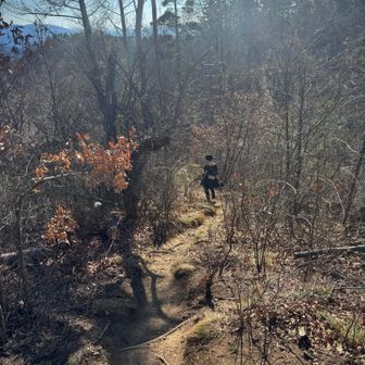 捻挫要素のない素晴らしい道がずっと続く
