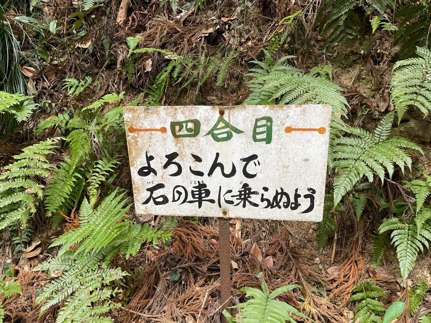 蔵王山 往復コースの写真
