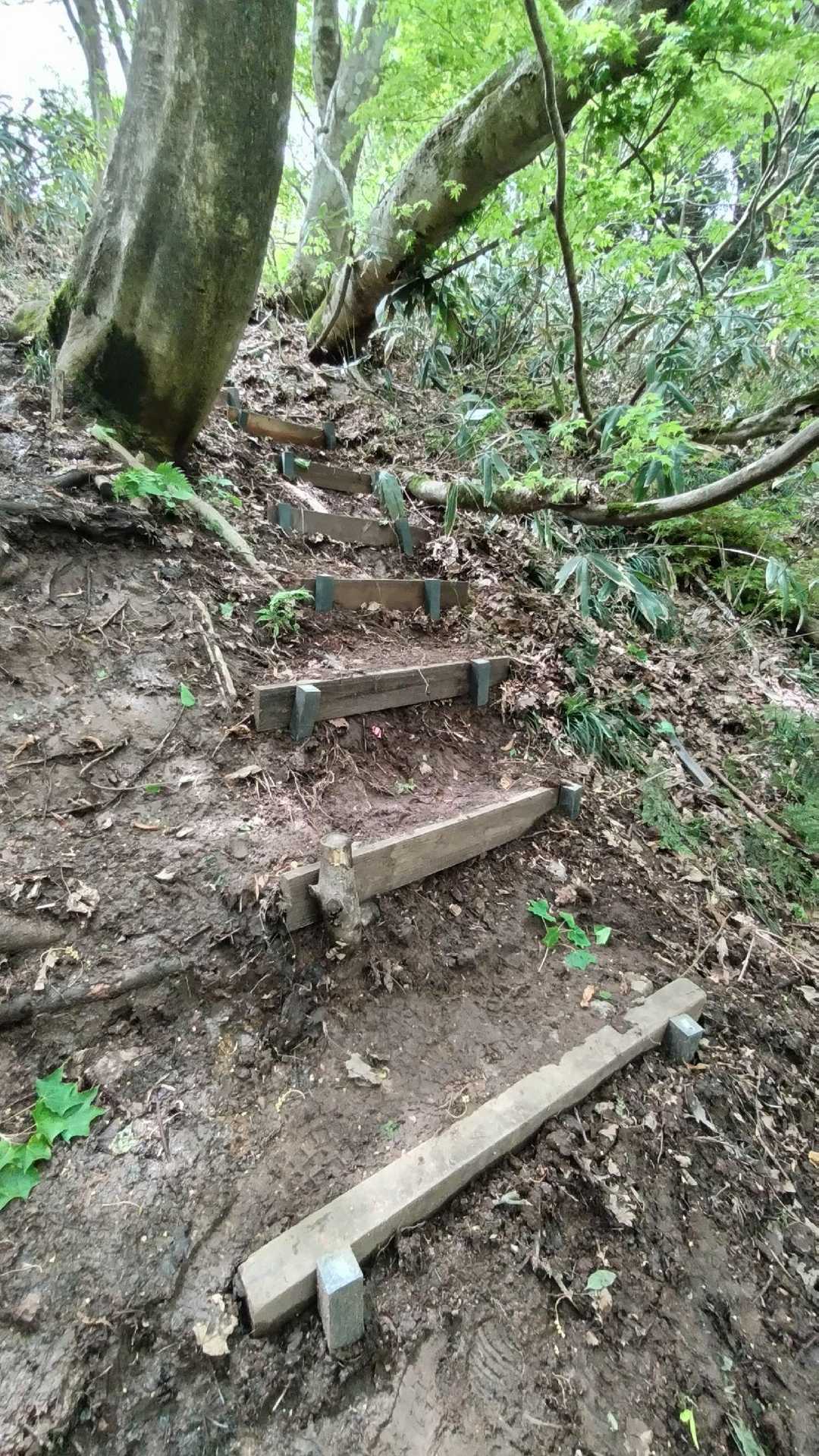 階段整備、有難うございます