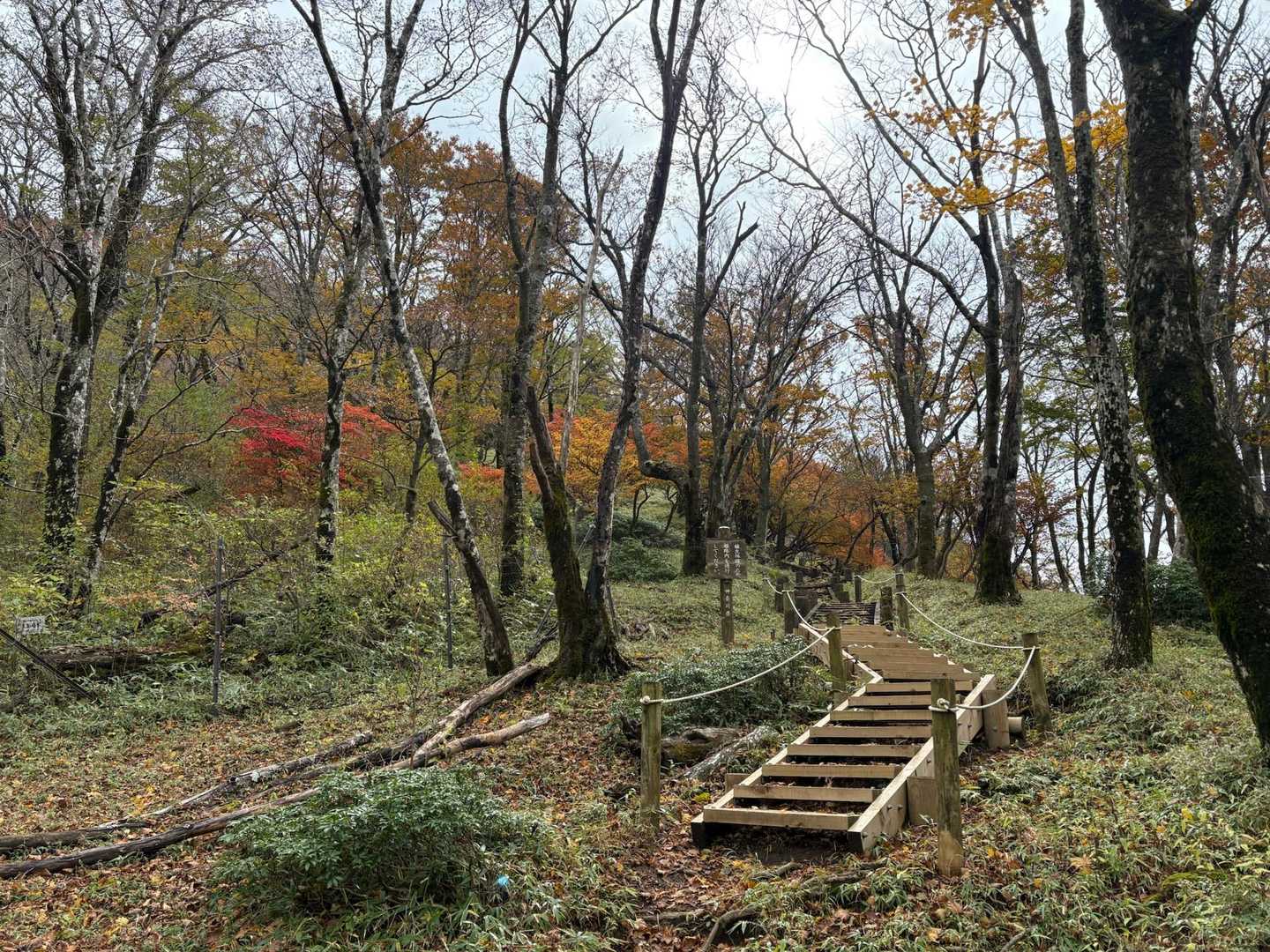 焼山登山口バス停-焼山-姫次-蛭ヶ岳-鬼ヶ岩ノ頭-不動ノ峰 縦走コースの写真